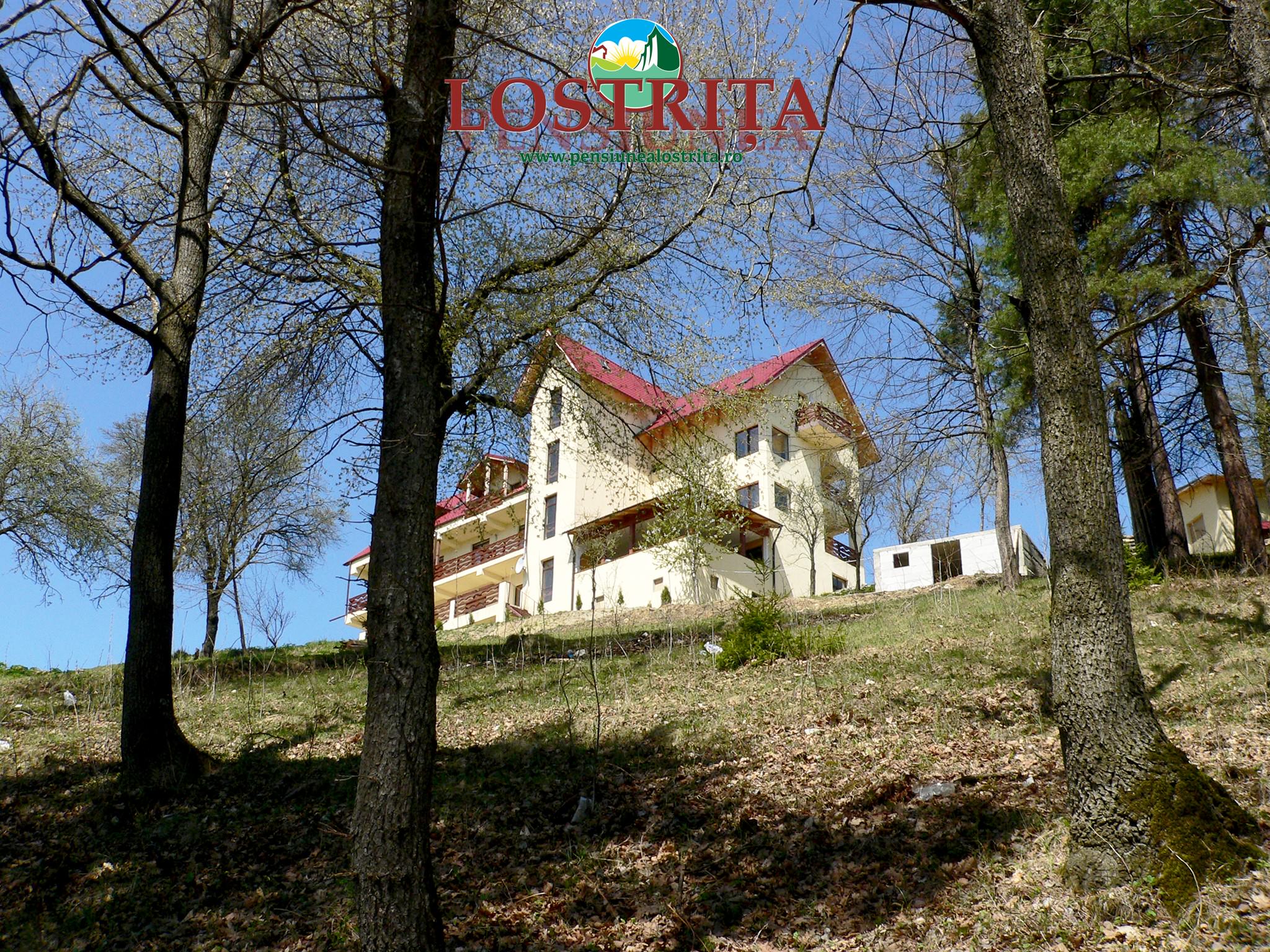Lostrita 1
